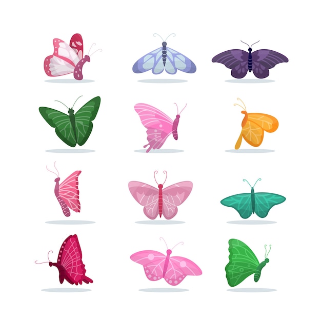 Set of butterfly illustration