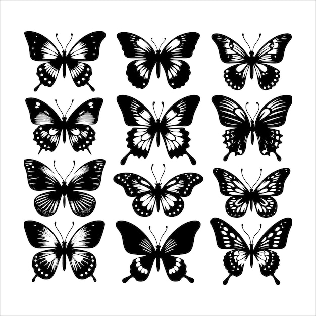 set of Butterfly silhouette vector clip art butterflies white background