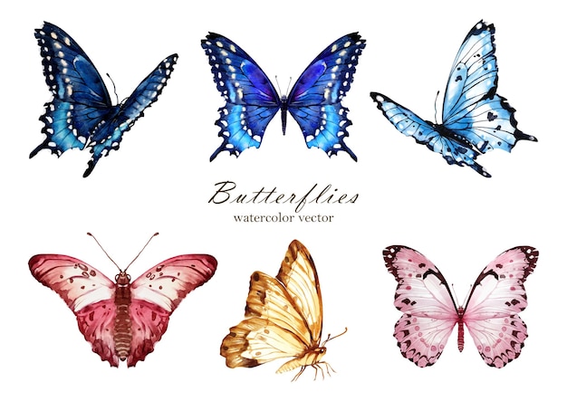 Set of Butterfly watercolor vector elements design