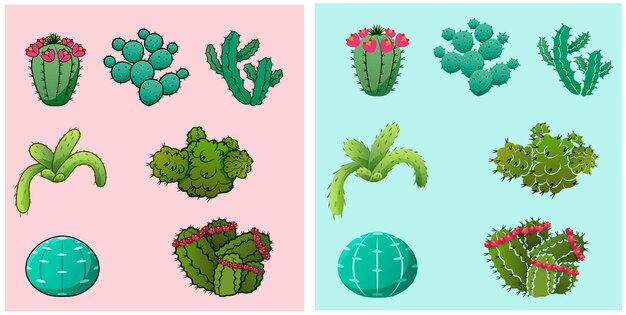 Set of cacti of different species