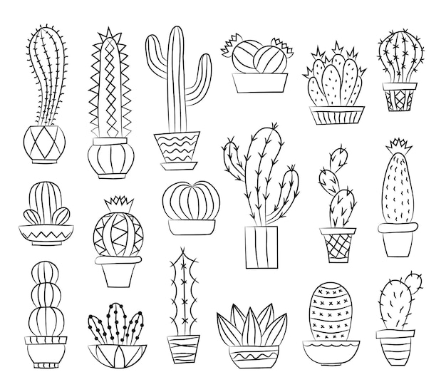 Set of cacti isolated on white background