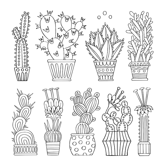 Set of cacti line art Indoor flower in a pot hand drawn sketch illustration