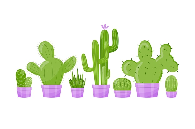 A set  of cacti in pots