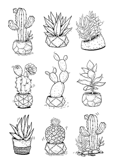 Set Cactus Cacti Succulent with tree pot Line Illustration