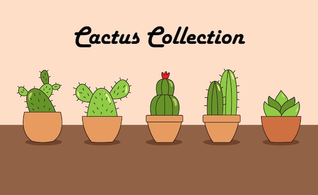 Set cactus pots vector collection