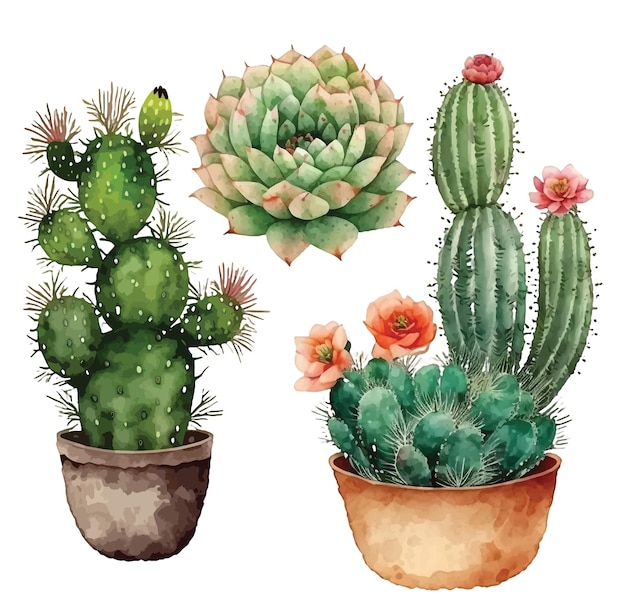 Set of cactus watercolor paint