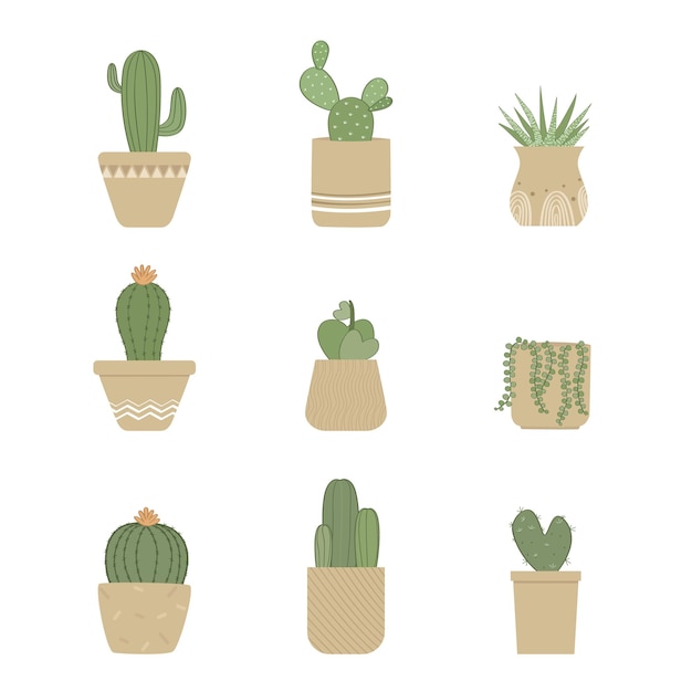 Set of cactus