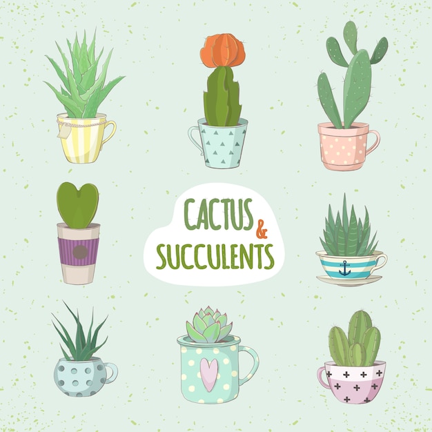 set of cactus