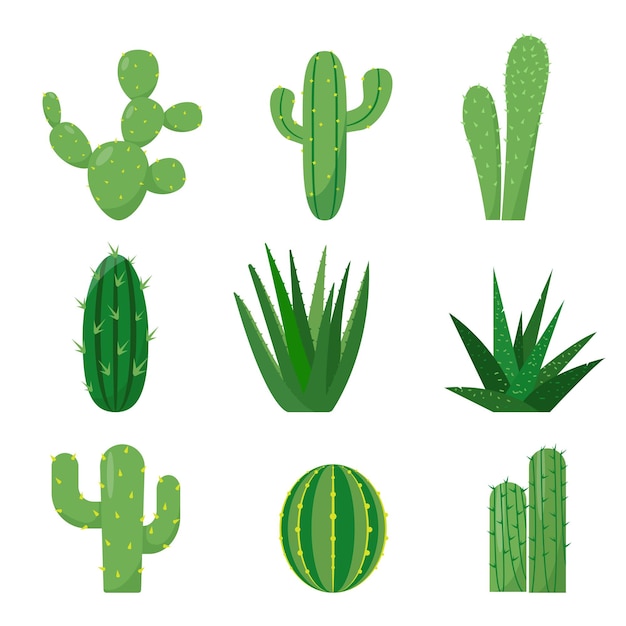 Set of Cactuses icons isolated on white background Exotic Decorative house plants