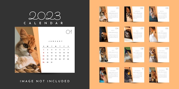 Set calendar 2023 background illustration template design