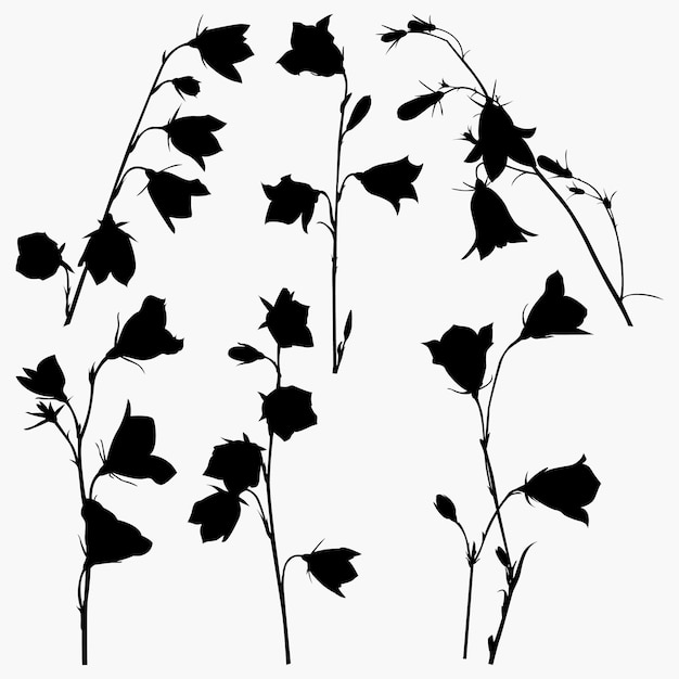 Set of Campanula Flower Silhouettes