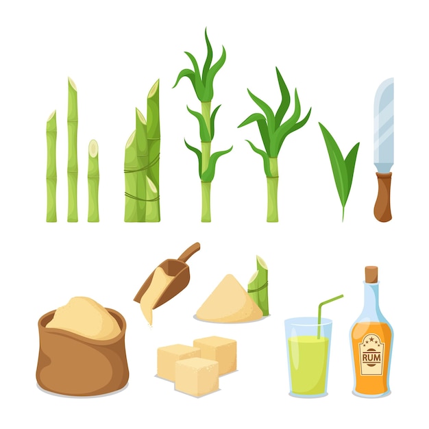 Set of Cane Sugar Production and Equipment Raw Stems Green Leaves Knife Sack Scoop with Sugar Sand and Cubes Rum