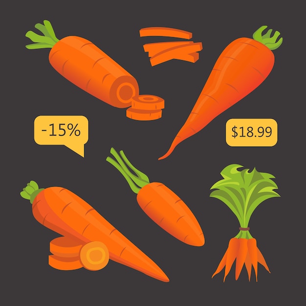 Set carrot  illustration. Sliced fresh carrot