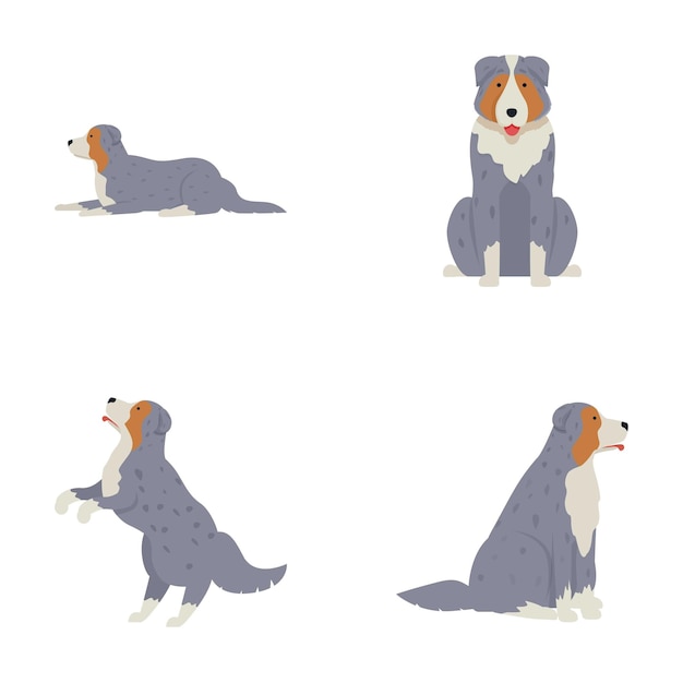 Vector set of cartoon australian shepherd dogs in various poses