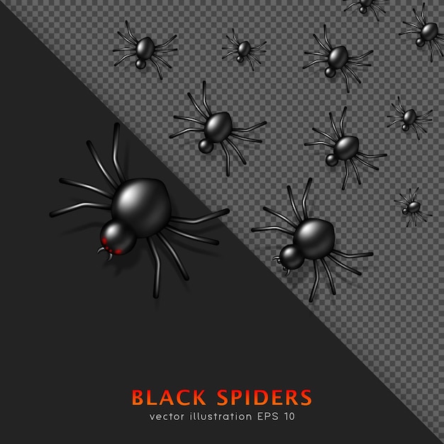 Set of cartoon black venomous crawling spiders. Halloween three dimensional flock of spooky insects