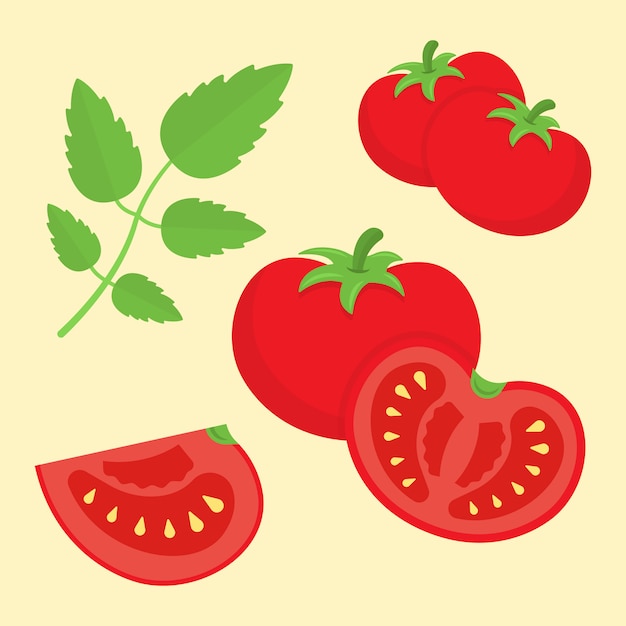 Set of cartoon color style red tomatoes illustration