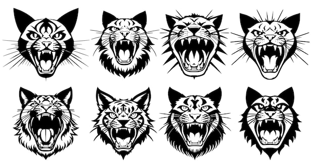 Set of cat heads with open mouth and bared fangs with different angry expressions of the muzzle Symbols for tattoo emblem or logo isolated on a white background