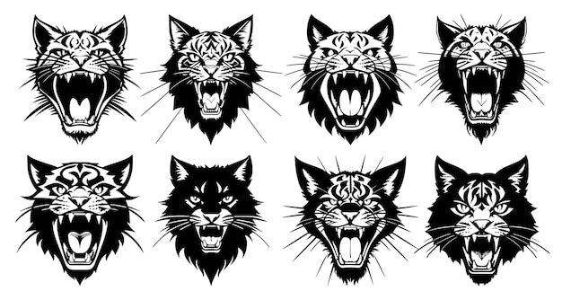 Set of cat heads with open mouth and bared fangs with different angry expressions of the muzzle Symbols for tattoo emblem or logo isolated on a white background