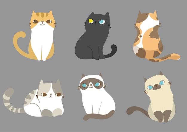 Set of cats in different poses.