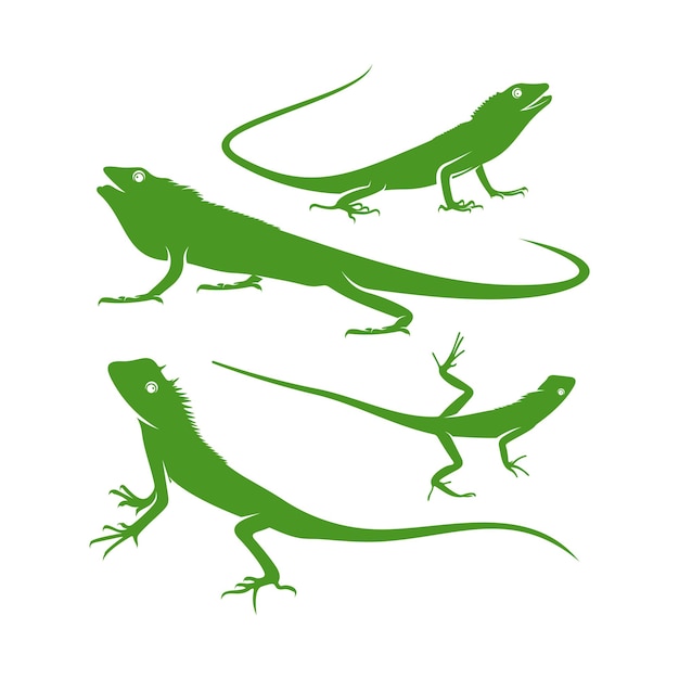 Set of Chameleon logo design vector Icon Symbol Template Illustration