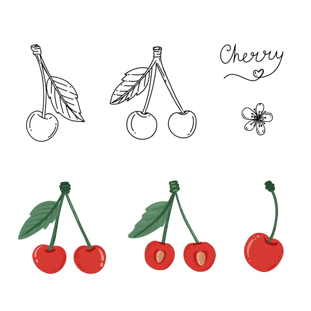 Set of cherry in doodle and hand drawn styles Vector illustration