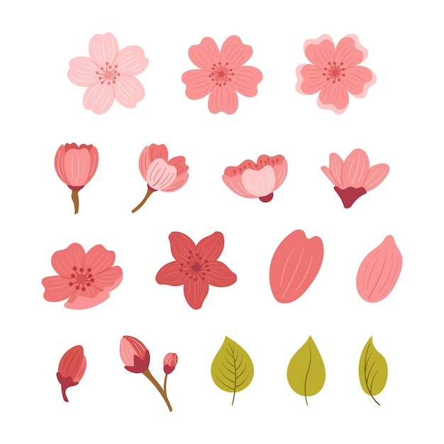 Set Of Cherry Flowers Leaves And Petals Isolated On White Background Sakura Blossoms And Blooming Buds Elements