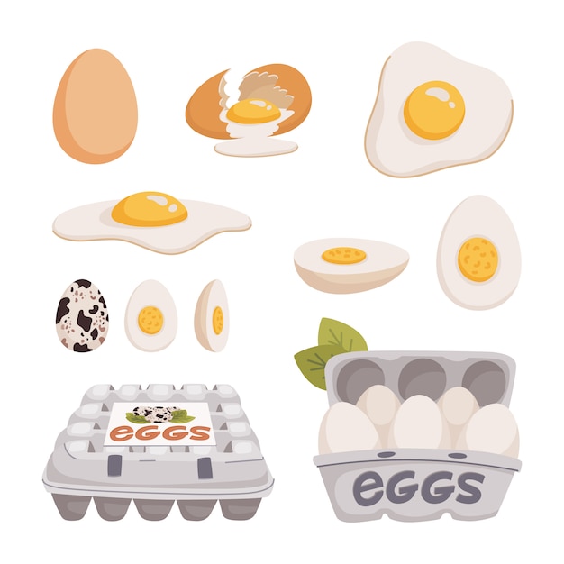 Set of chicken and quail eggs in different forms raw, boiled and fried and in carton boxes.