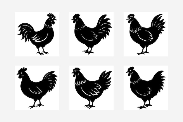 set of chicken vector illustration