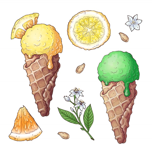 Set of citrus ice cream