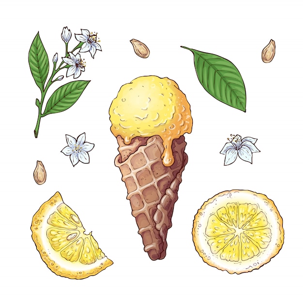 Set of citrus ice cream