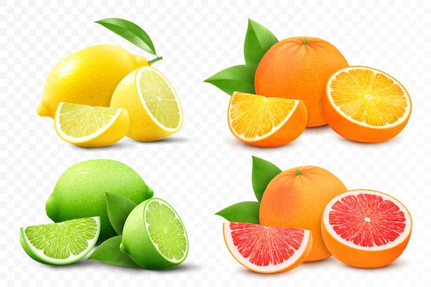 Set of citrus lemon mandarin lime orange grapefruit whole cut half and slices Fresh sour citrus fruit with vitamins Realistic 3d vector illustration isolated on white background