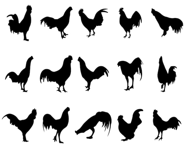 The set of Cock silhouette collection