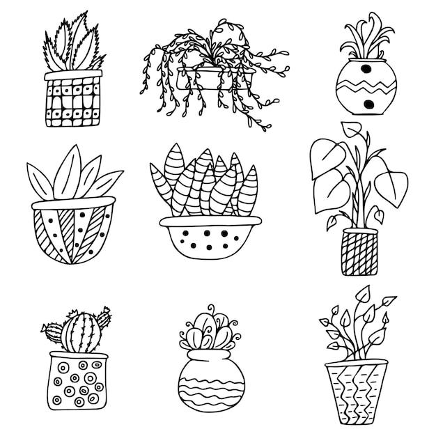 Set collection Doodle potted houseplant