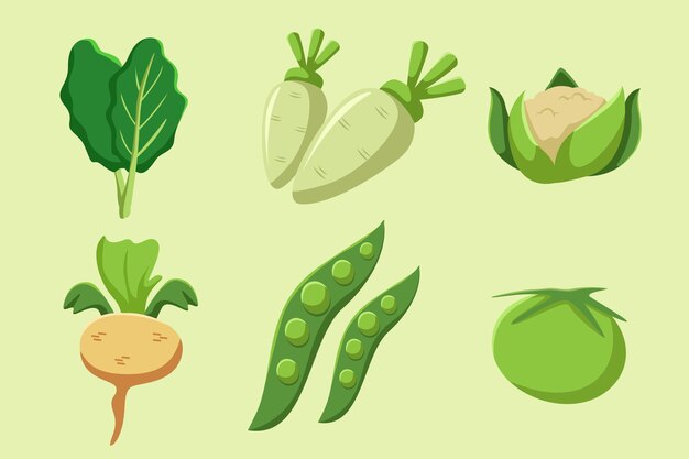 Set Collection of Vegetable Element