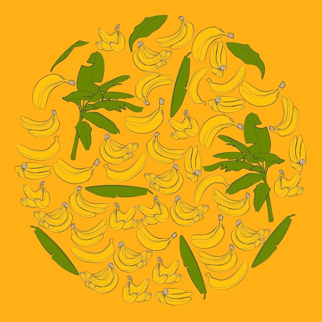 A set of color bananas in a circle Vector graphics