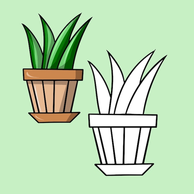 A set of color and sketch image Green plant sansevieria aloe in a ceramic pot indoor plants cartoon vector