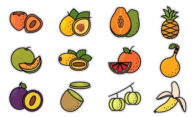 Set of colored fruit icons Vector illustration