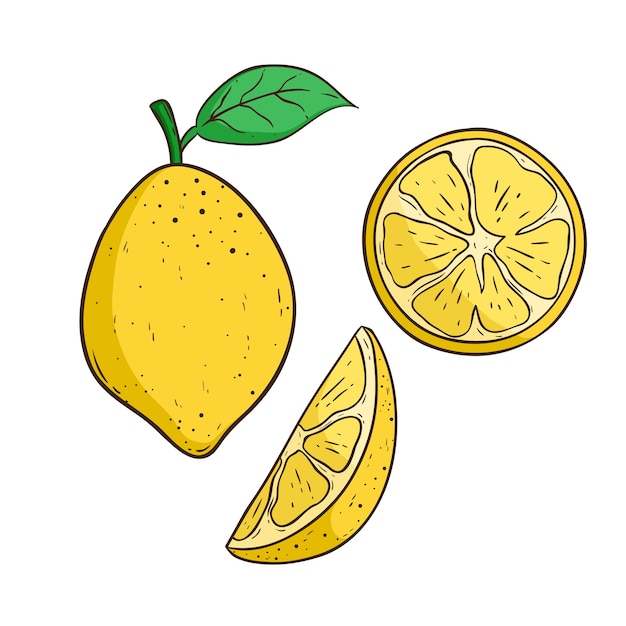 Set of Colored Lemon With Lemon Slice Using Line Art or Doodle Style