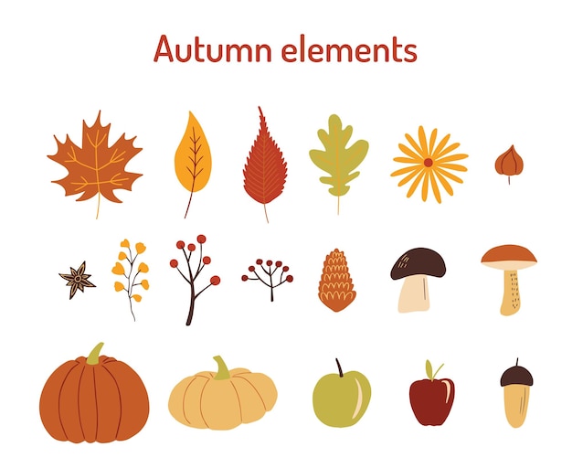 Set of colorful autumn elements isolated on white background Vector cartoon illustration