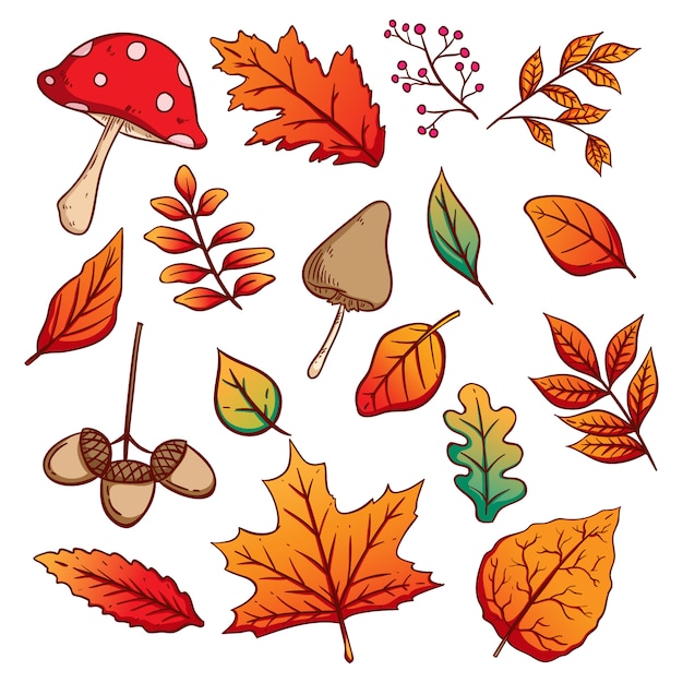 Set of Colorful Autumn Leaves, Acorns and Mushrooms With Hand Drawn Style