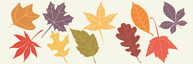 Set of colorful autumn leaves Vector illustration