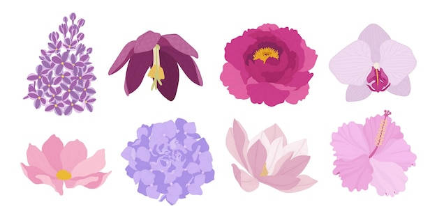 Set of colorful blooming flowers illustration