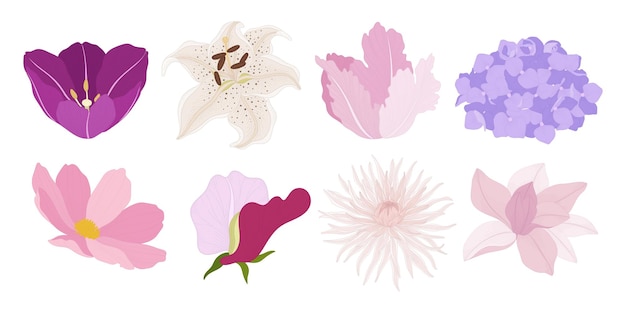 Set of colorful blooming flowers illustration