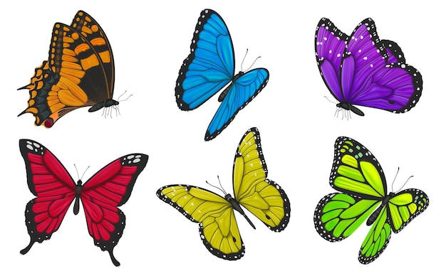 Set of colorful butterflies illustration.