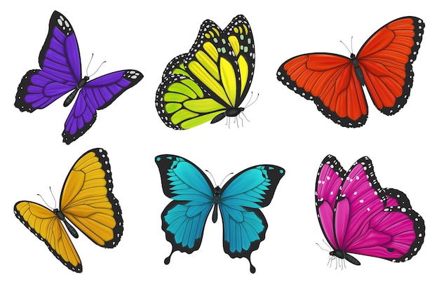 Set of colorful butterflies isolated on white