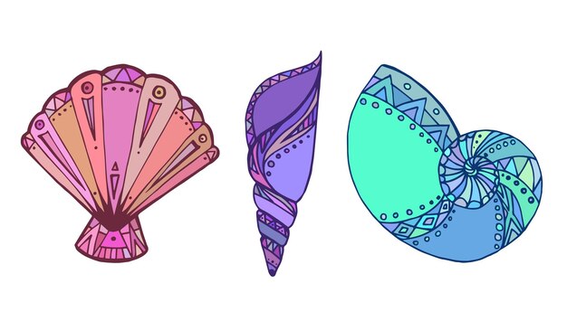 Set of colorful Doodle illustration of seashell