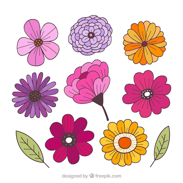 Set of colorful flowers in hand drawn style