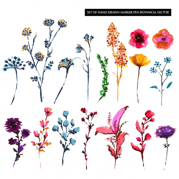 Set of Colorful hand drawn botanical flower sketch