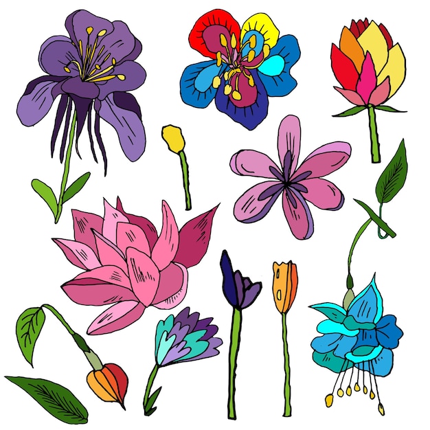 Set of colorful handdrawn flowers on an isolated white background For greeting card March 8