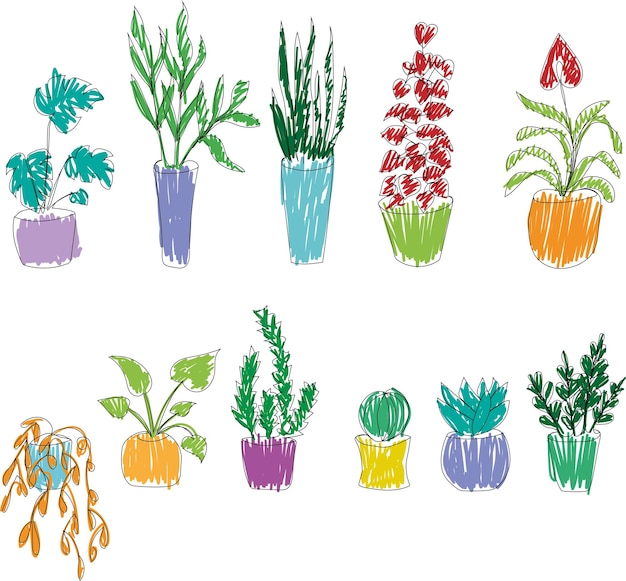 Set of colorful home flowers in trendy mono line style art deco Hand drawn vector flowerpots